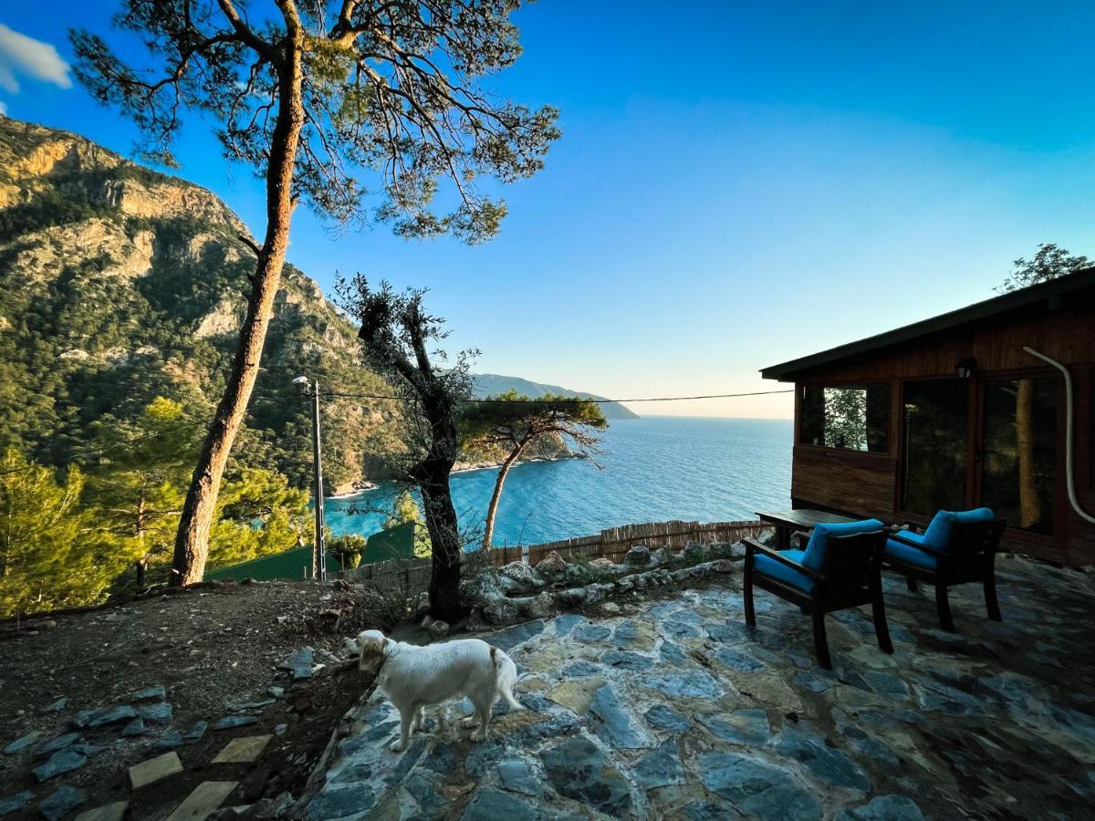 Kabak Uetopya Kamp Faralya Exterior foto